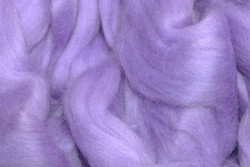 Newborn posing braid lavender