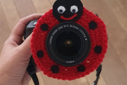 Camera buddy lieveheersbeestje