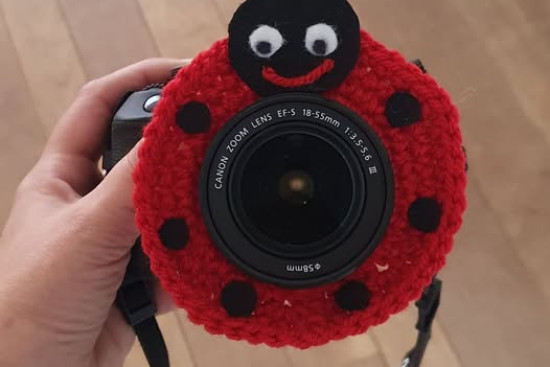 Camera buddy lieveheersbeestje