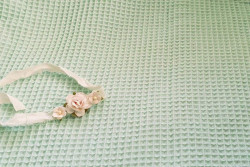 Backdrop ruit mint