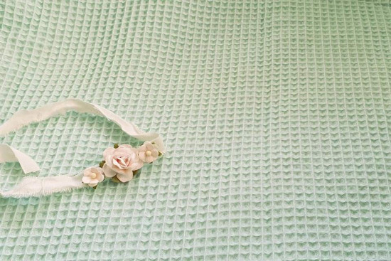 Backdrop ruit mint