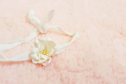 Backdrop zacht roze