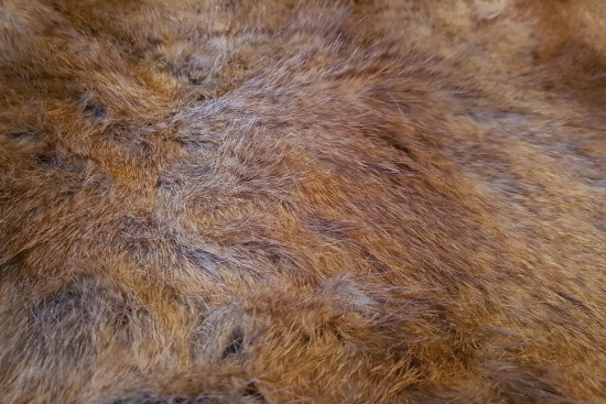 Faux fur, backdrop