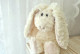 Knuffel konijn crème Knuffel konijn crème