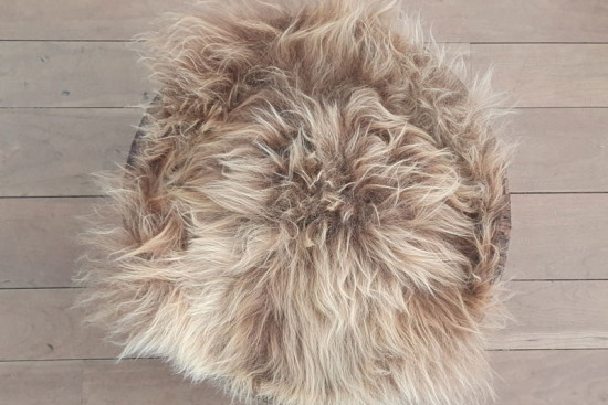 Kleine prachtige vacht, bruin lang haar Kleine prachtige vacht, bruin lang haar