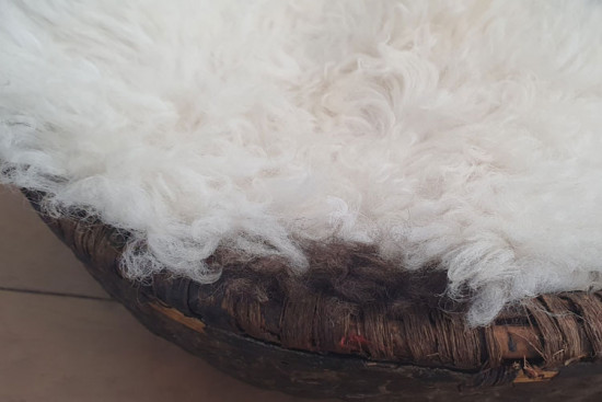 Vachtje bergschaap krul 2 Vachtje bergschaap krul 2