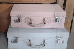 Koffertjes in blauw of roze