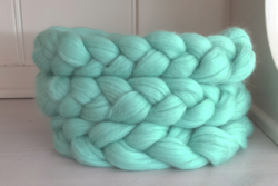 Newborn posing braid mint