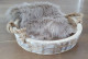 Prachtige houten boomstam schaal kaasdoekn, fotoprop, props, newborn, fotografie