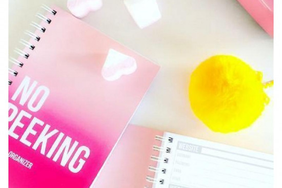 No Peeking! password organizer No Peeking! password organizer