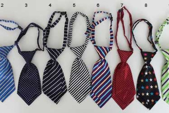 Satijnen stropdasjes in 10 printjes